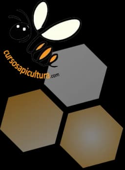 cursosapicultura.com