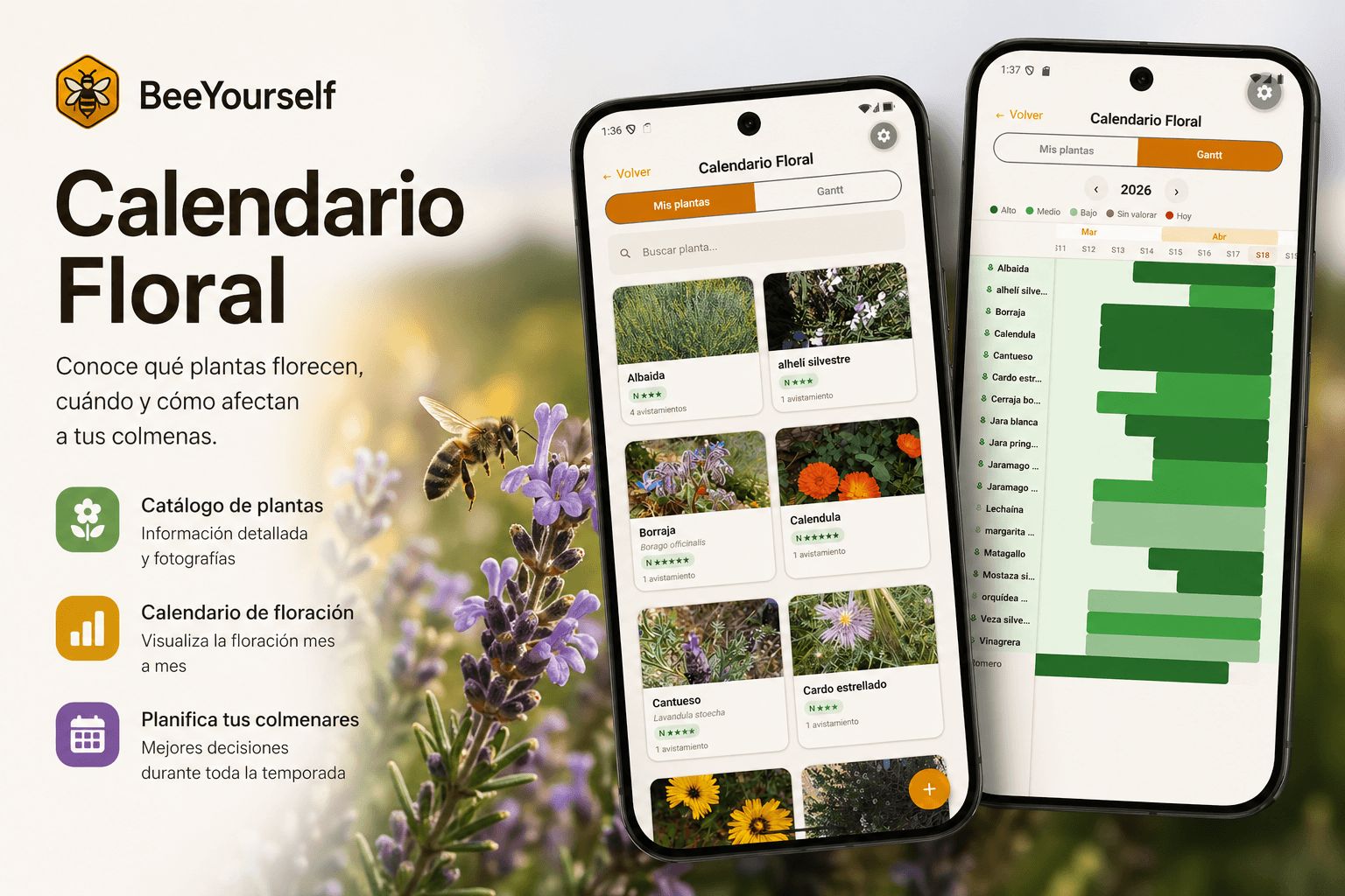 Tu biblioteca de flores: identifica y localiza floraciones